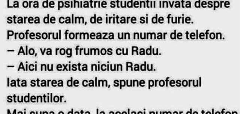 BANC | Bulă și cele 3 stări: de calm, de iritare și de furie